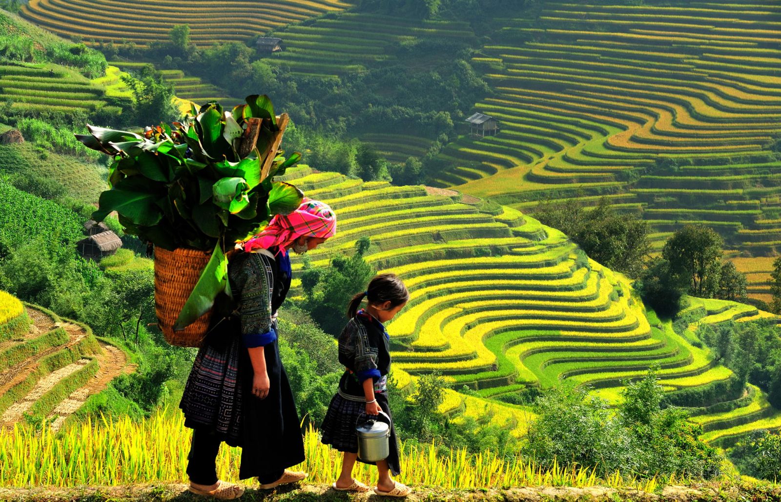 Vietnam Trekking Tours